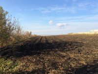 Лот: 4679016. Фото: 4. Продам участок 30 сот. ИЖС. Красноярск