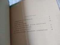 Лот: 17455044. Фото: 4. Бычий цепень - паразит человека... Красноярск