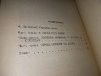 Лот: 5664317. Фото: 13. Дм.Медведев, Сильные духом, В...