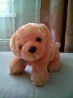 Лот: 11327136. Фото: 4. Игрушка мягкая"собачка"(обмен). Красноярск