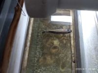 Лот: 15799180. Фото: 2. Хромис Неоновый,Меланохромис Ауратус... Аквариумистика