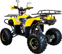 Лот: 25659261. Фото: 7. Квадроцикл AVANTIS Patriot M
