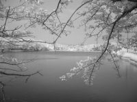 Лот: 9813903. Фото: 7. Инфракрасный ( модифицированный...