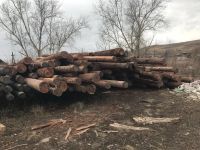 Лот: 10602959. Фото: 5. Опоры, столбы под лэп лиственница...