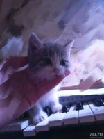 Лот: 10389391. Фото: 4. Отдам котят!. Красноярск
