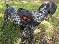 Лот: 17055081. Фото: 2. Регулируемая, нейлоновая шлейка... Животные и уход