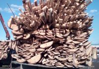 Лот: 3606598. Фото: 8. Горбыль (КАМАЗ-воровайка с доставкой...