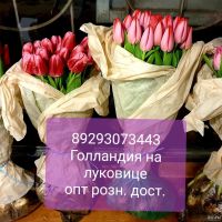 Лот: 9050531. Фото: 2. Тюльпаны опт розница Красноярск... Цветы, букеты