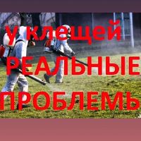 Лот: 22159393. Фото: 2. Обработка от клещей, уничтожение... Бытовые услуги