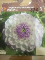 Лот: 21969444. Фото: 4. Георгины сортовые. Красноярск