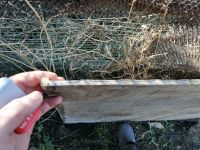 Лот: 18997747. Фото: 2. Лист листы бак нержавейка. Строительные материалы