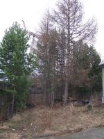 Лот: 921384. Фото: 2. Продам Дом в черте г.Красноярска... Продажа
