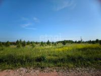 Лот: 25552852. Фото: 3. участок , садоводческое некоммерческое... Недвижимость