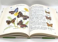 Лот: 25412283. Фото: 12. 📗 А. Плешаков. От земли до неба...