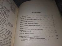 Лот: 13874569. Фото: 9. Овсянников Ю., Доминико Трезини...