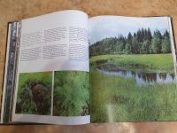 Лот: 20022553. Фото: 3. Красивые книги о природе и крае... Красноярск