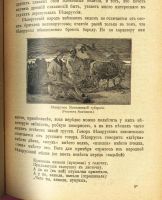 Лот: 11918729. Фото: 9. Меч, С.Учебник отечественной географии...