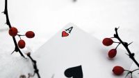 Лот: 15645909. Фото: 2. Карты Bicycle Ghost White от Ellusionist... Сувениры, подарки