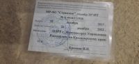 Лот: 19575192. Фото: 5. Стражник