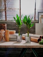 Лот: 9481559. Фото: 4. Кашпо, оцинковка. Размер 10.5... Красноярск