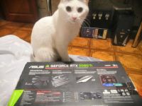 Лот: 21444464. Фото: 3. Asus GeForce RTX™ 2080 Ti 11GB... Компьютеры, оргтехника, канцтовары
