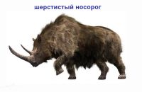 Лот: 25672903. Фото: 6. Набор палеонтологии начинающему...