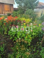 Лот: 25293835. Фото: 4. 2-комн. дом , село Новотроицкое... Красноярск