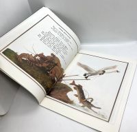 Лот: 25191164. Фото: 4. 📗 И. А. Крылов. Стрекоза и Муравей... Красноярск