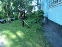 Лот: 19167614. Фото: 3. Покос, прокос: (газонов, участков... Красноярск