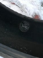 Лот: 12590760. Фото: 7. Комплект шин nokian hakkapeliitta...
