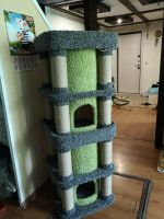 Лот: 16242840. Фото: 7. Комплекс для котеек