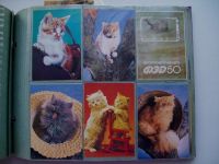 Лот: 9982529. Фото: 6. Календарики с кошками (293 штуки...