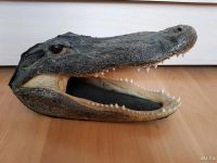 Лот: 13406525. Фото: 4. Огромная голова Крокодила. Чучело... Красноярск