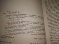Лот: 25785520. Фото: 3. озю,вбр. (40923100) English Grammar... Литература, книги