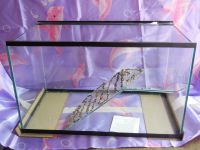 Лот: 5185394. Фото: 2. Аквариум черепашник 71л. Аквариумистика