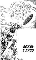 Лот: 20557542. Фото: 12. Мирер Александр - Обсидиановый...
