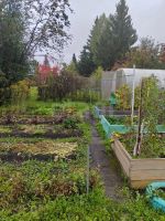 Лот: 25770395. Фото: 20. 2-комн. дача , садоводческое некоммерческое...