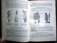 Лот: 13441573. Фото: 3. Справочник "Школьный определитель... Литература, книги