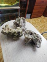 Лот: 17402193. Фото: 3. Кенийский камни 3шт. Растения и животные