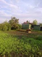 Лот: 9553208. Фото: 5. Продам дачу СТ*Красноярец* 700т...