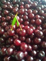 Лот: 5924218. Фото: 2. Вишня на ножке. Продукты