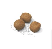 Лот: 16748399. Фото: 2. Royal Canin Giant Puppy (Роял... Животные и уход