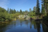 Лот: 25298208. Фото: 10. участок , СНТ Ладное СНТ Ладное...