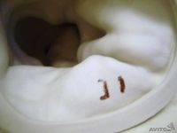 Лот: 11020260. Фото: 3. В. Теркин,фарфор,роспись. Коллекционирование, моделизм