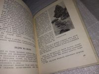 Лот: 13239289. Фото: 2. Ермолаев В. Плес- жемчужина Волги... Хобби, туризм, спорт
