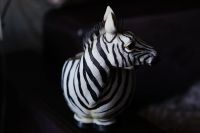 Лот: 3976639. Фото: 3. Кашпо зебра. Растения и животные
