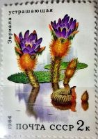 Лот: 12966474. Фото: 6. Марки Флора. СССР. Водные растения...