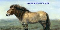 Лот: 25672903. Фото: 5. Набор палеонтологии начинающему...