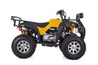 Лот: 25636264. Фото: 3. Квадроцикл RAPTOR Max Pro 250... Авто, мото, водный транспорт