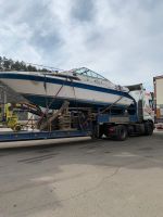 Лот: 20844604. Фото: 2. Sea ray 250. Водный транспорт